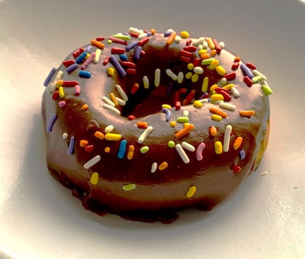Chocolate with Sprinkles Raised Donut